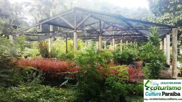 Parque Arruda Câmara (Bica): hortalicia