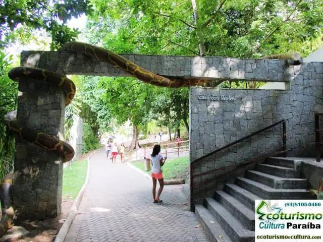 Zoologico de João Pessoa (Bica): os reptéis