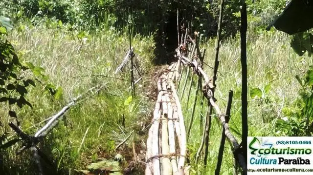 Jardim botânico de João Pessoa: caminho pedestre