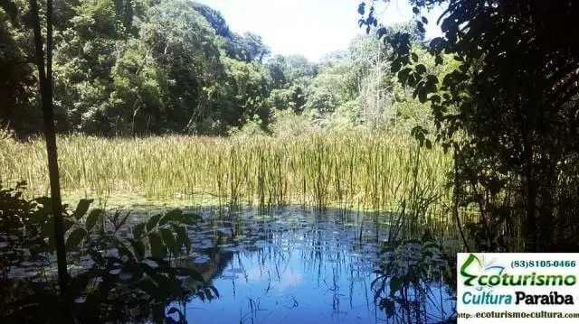 Jardim botânico de João Pessoa: lago e mata (Mata do Buraquinho)
