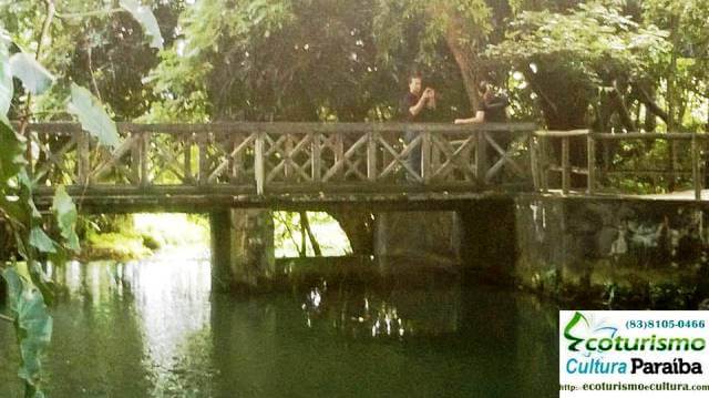 Jardim botânico: a ponte da entrada