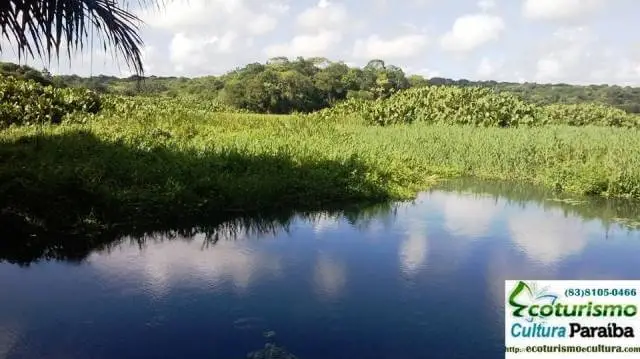 Jardim botânico Benjamin Maranhão: lagoas