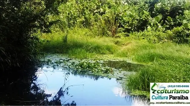 Jardim botânico Benjamin Maranhão: lago