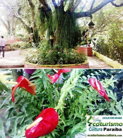 Passeios na Paraíba: Engenho Triumfo, o jardim