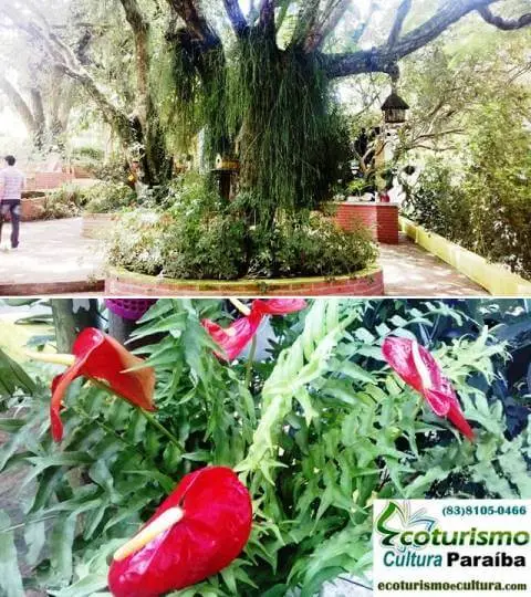 Engenho Triumfo: jardim
