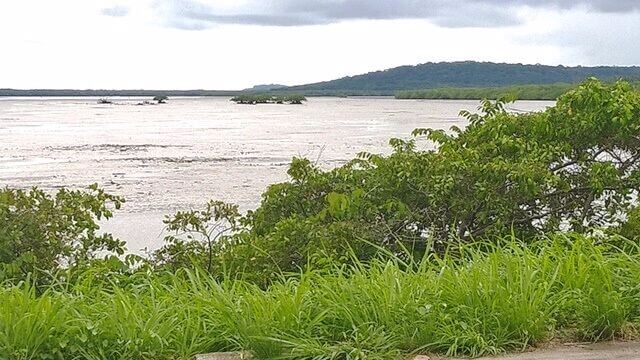 Ilha de Itamaracá