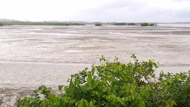 Ilha de Itamaracá