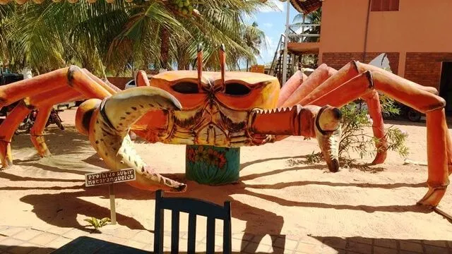 Barra do Cunhaú: caranguejo de fibra