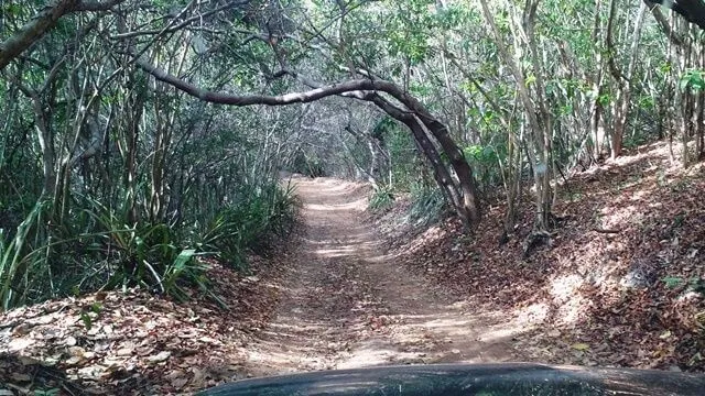 Pipa - RN, Santuário Ecológico: o caminho da entrada