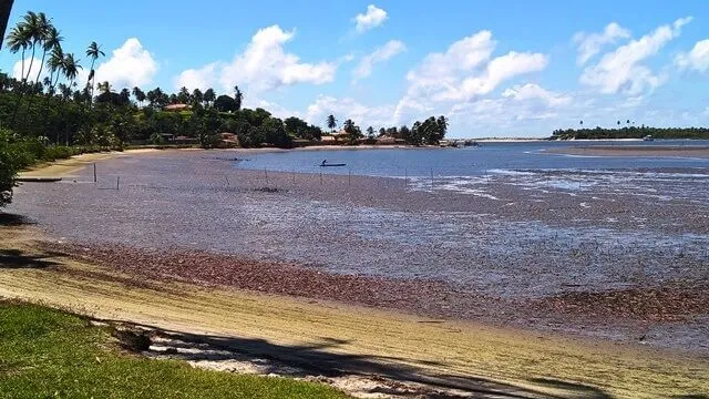 Barra do Cunhaú: o mar é tão tranquilo que mais parece uma grande lagoa