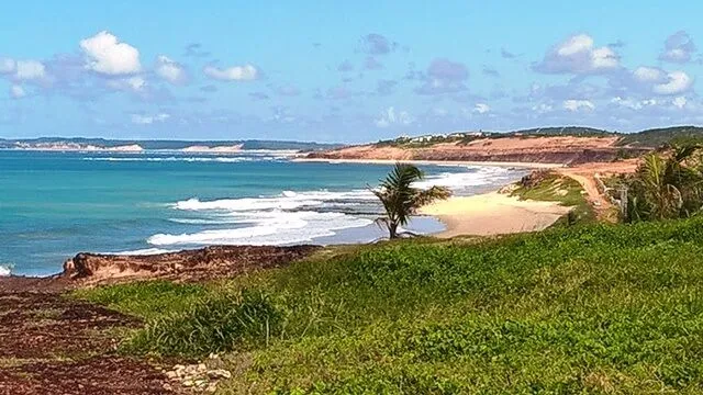 Acima das falésias de Pipa - RN