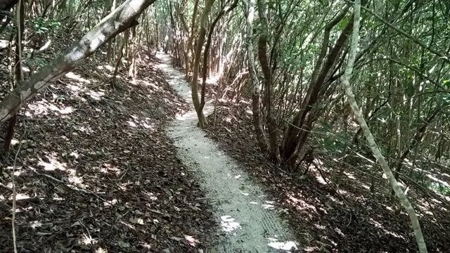 Pipa - RN, Santuário Ecológico: trilha pedestre