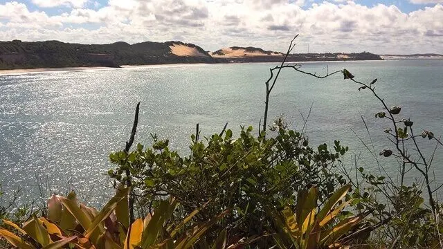 Pipa - RN, Santuário Ecológico: vista nas dunas do ski bunda