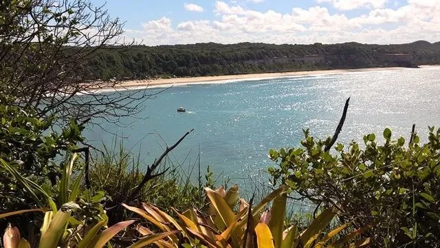 Pipa - RN, Santuário Ecológico: vista na praia do Madeiro