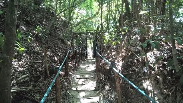 Pipa - RN, Santuário Ecológico: escada dando acesso a praia do Madeiro
