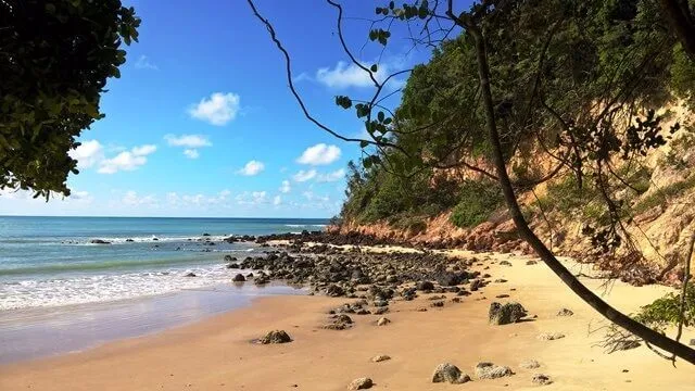 Pipa - RN, Santuário Ecológico: final da praia do Madeiro