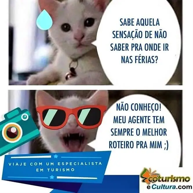 Não tem indicação: não se perca!