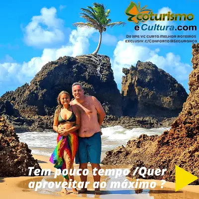 Tem pouco tempo /Quer aproveitar ao máximo?