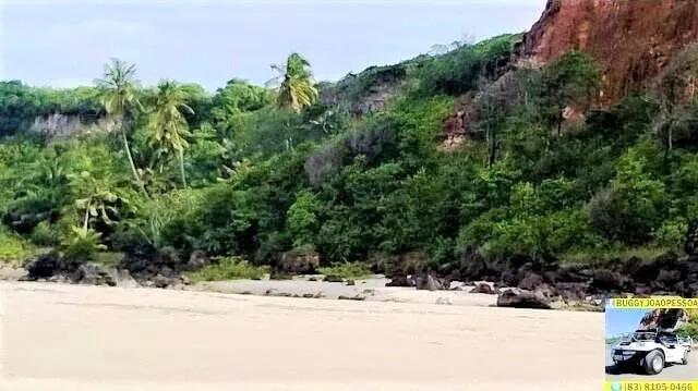 Praias de Lucena: mata da Barra do Miriri