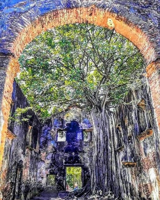 Interior da Ruína de Bom Sucesso (Lucena PB)