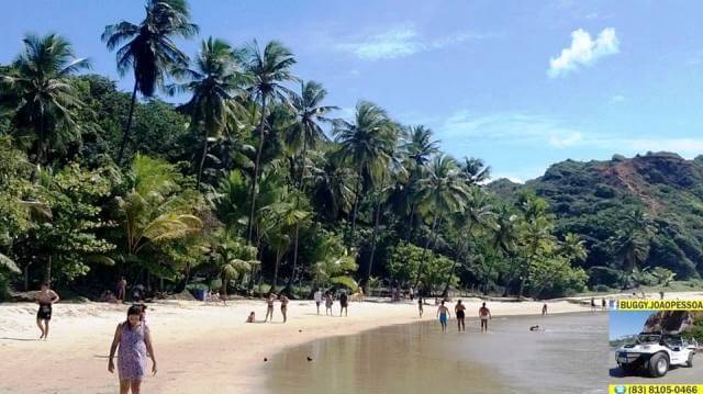 Praia do Coqueirinho: vista da prainha, com os coqueiros