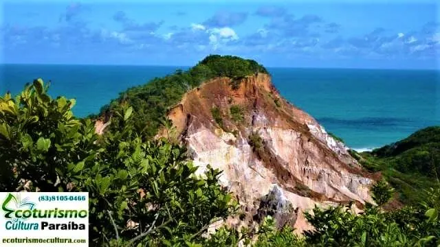 Coqueirinho: mirante Detalhe do mirante do cânion de Coqueirinho, litoral sul da Paraiba