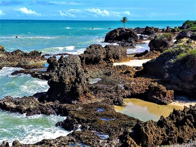 Litoral sul de João Pessoa: mirante da trilha ecológica, lado Tambaba