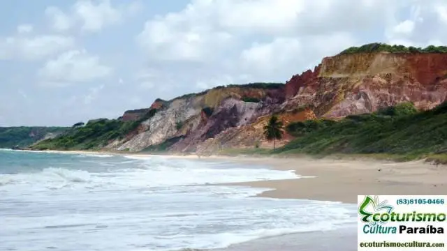 Trilhas nas praias Falésias entre Coqueirinho e Tambaba (litoral sul da Paraíba)