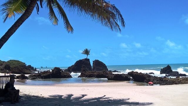 O cartão postal da praia de Tambaba