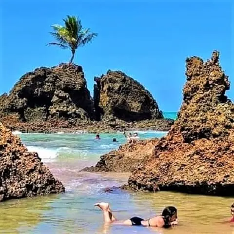 Praia de Tambaba: a pedra do coqueiro
