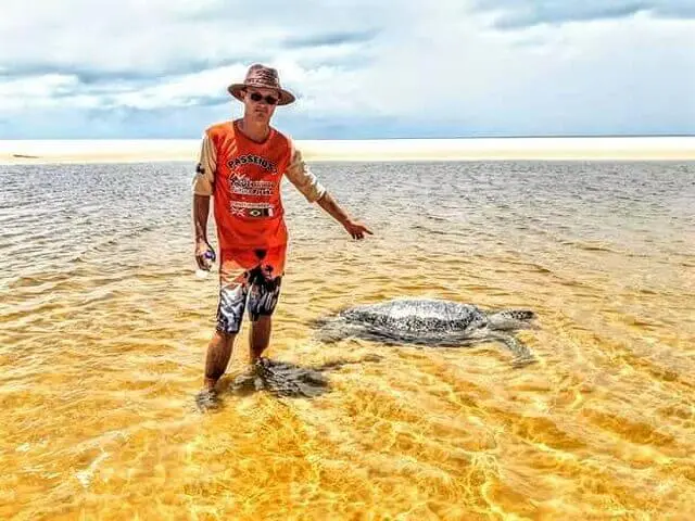Tartaruga pente na praia da Barra do Graú