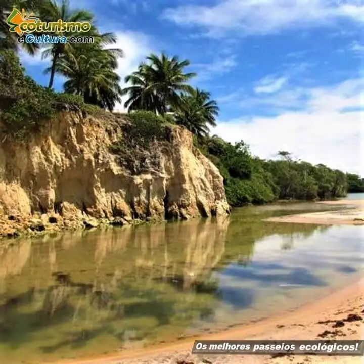Os melhores passeios ecológicos