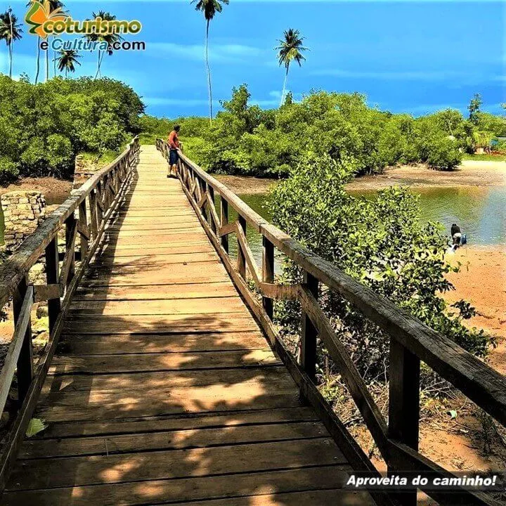 Aproveite o caminho!